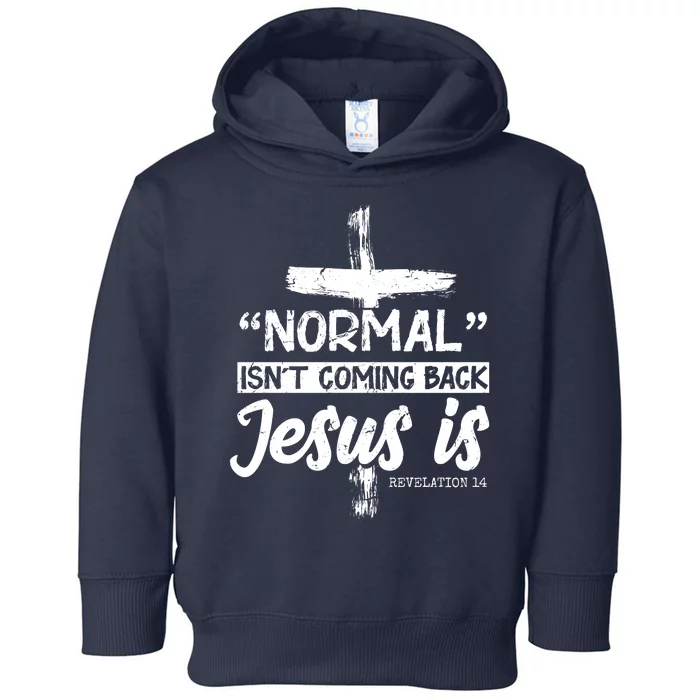 Normal Isn't Coming Back Jesus Is Toddler Hoodie