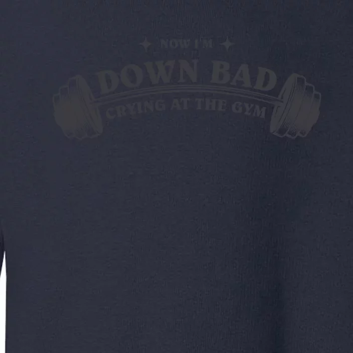 Now Im Down Bad Crying At The Gym Ttpd Album Toddler Sweatshirt