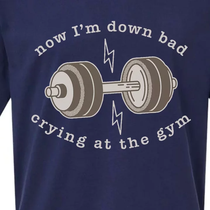 Now IM Down Bad Crying At The Gym Sueded Cloud Jersey T-Shirt