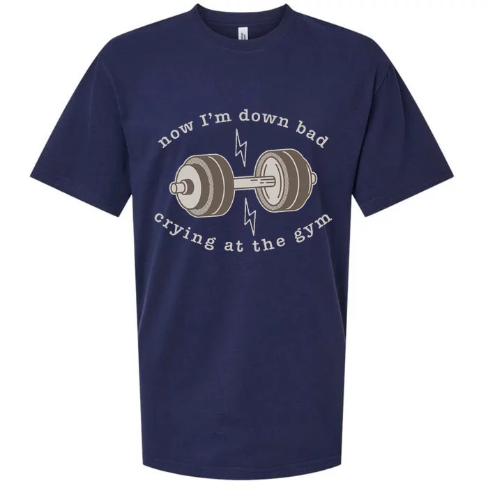 Now IM Down Bad Crying At The Gym Sueded Cloud Jersey T-Shirt