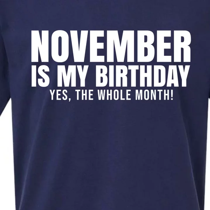 November Is My Birthday Yes The Whole Month Sueded Cloud Jersey T-Shirt