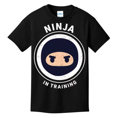 https://images3.teeshirtpalace.com/images/productImages/ninja-in-training--black-yt-garment.webp?width=400