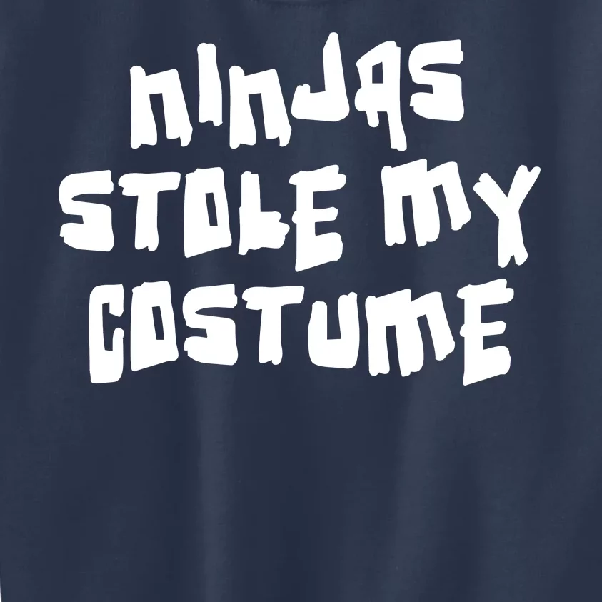 Ninjas Stole My Costume Halloween Kids Sweatshirt