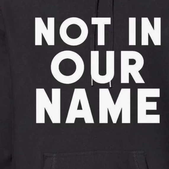 Not In Our Name Free Gaza Stop War In Palestine Premium Hoodie