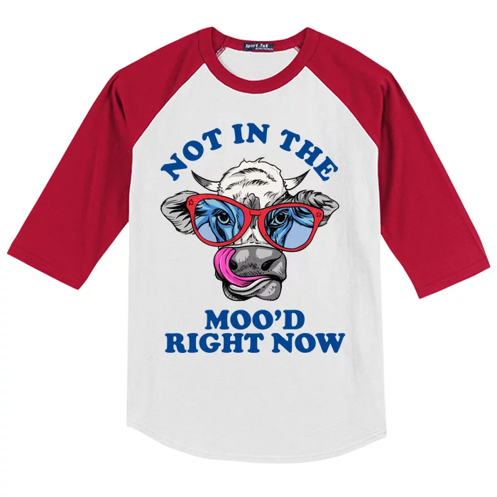 Not In The Mood Right Now Funny Cow Kids Colorblock Raglan Jersey