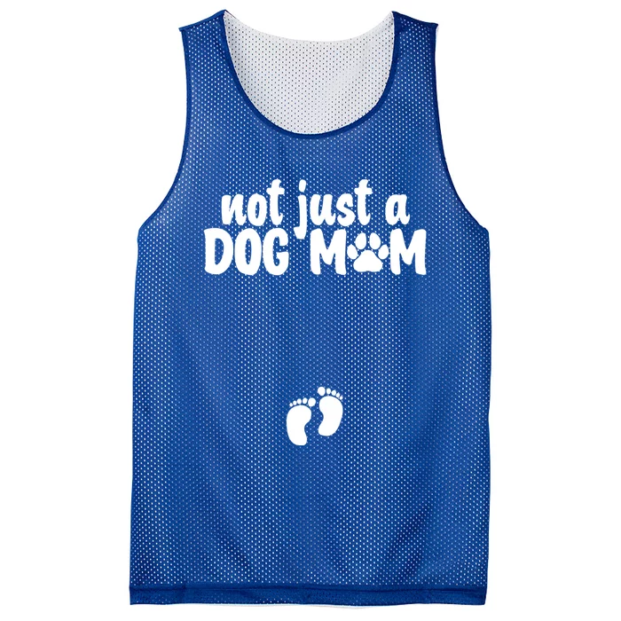 Not Just A Dog Mom Easter Pregnancy Gift Cute Pregnancy Gift Mesh Reversible Basketball Jersey Tank