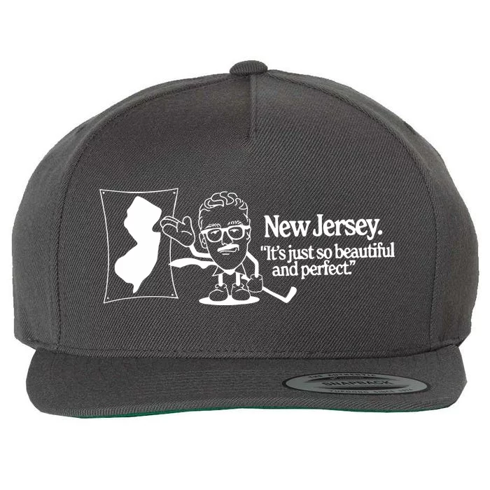 New Jersey ItS Just So Beautiful And Perfect Wool Snapback Cap