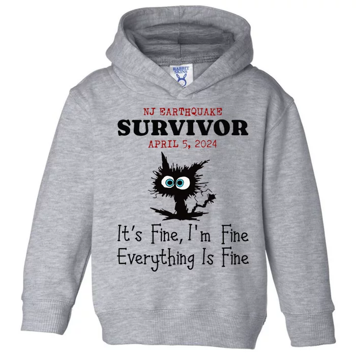 New Jersey Nj Earthquake Survivor IM Fine Everythings Fine Toddler Hoodie