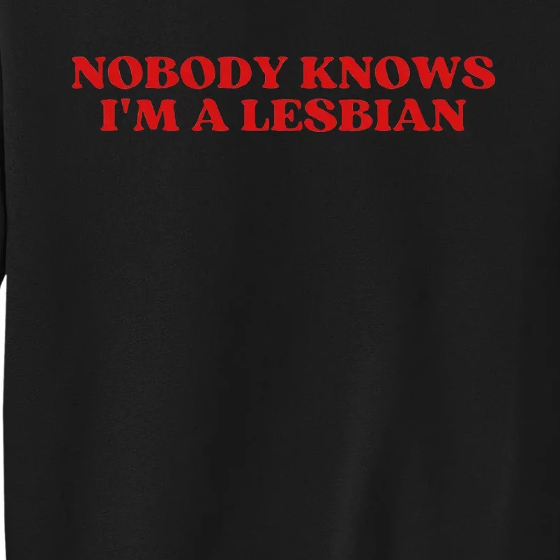 Nobody Knows Im A Lesbian Aesthetic Tall Sweatshirt