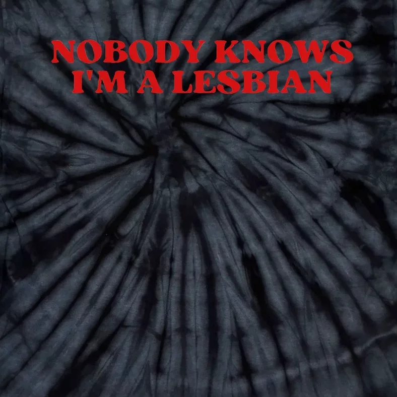 Nobody Knows Im A Lesbian Aesthetic Tie-Dye T-Shirt