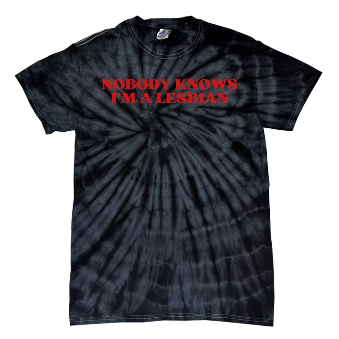 Nobody Knows Im A Lesbian Aesthetic Tie-Dye T-Shirt