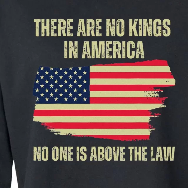 No Kings In America Trump 2024 Flag Design Cropped Pullover Crew