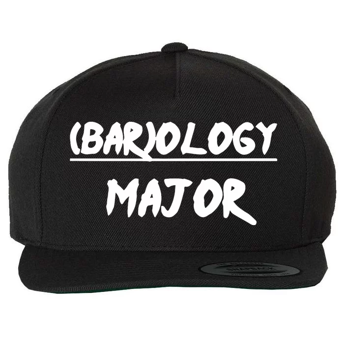 No Life Shaq Wearing (Bar)Ology Major Wool Snapback Cap