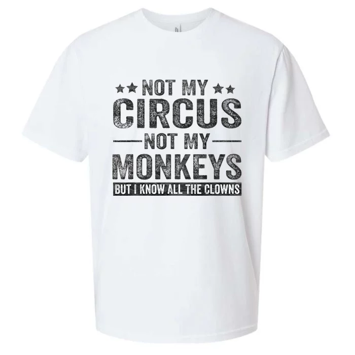 Not My Circus Not My Monkeys But I Know All The Clowns Sueded Cloud Jersey T-Shirt