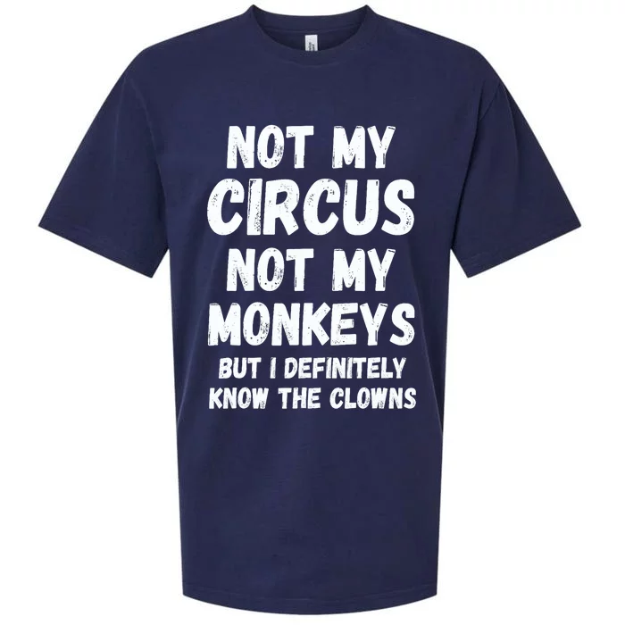 Not My Circus Not My Monkeys But I Definitely Know The Clowns Sueded Cloud Jersey T-Shirt