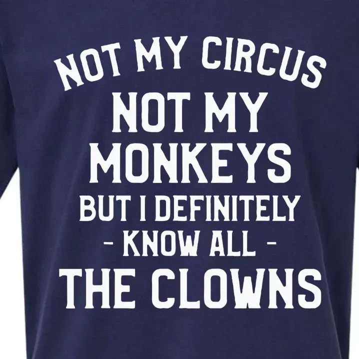 Not My Circus Not My Monkeys But I Definitely Know Nanny Sueded Cloud Jersey T-Shirt