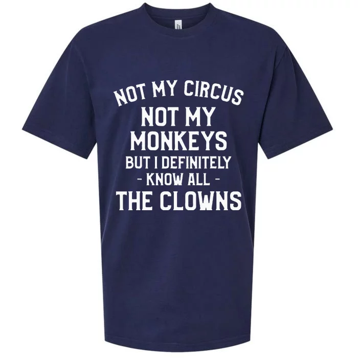 Not My Circus Not My Monkeys But I Definitely Know Nanny Sueded Cloud Jersey T-Shirt