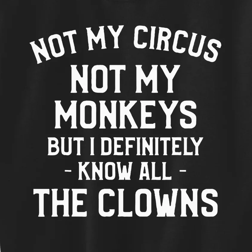 Not My Circus Not My Monkeys But I Definitely Know Nanny Kids Sweatshirt