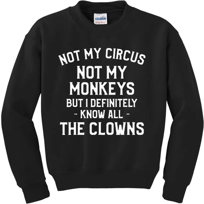 Not My Circus Not My Monkeys But I Definitely Know Nanny Kids Sweatshirt