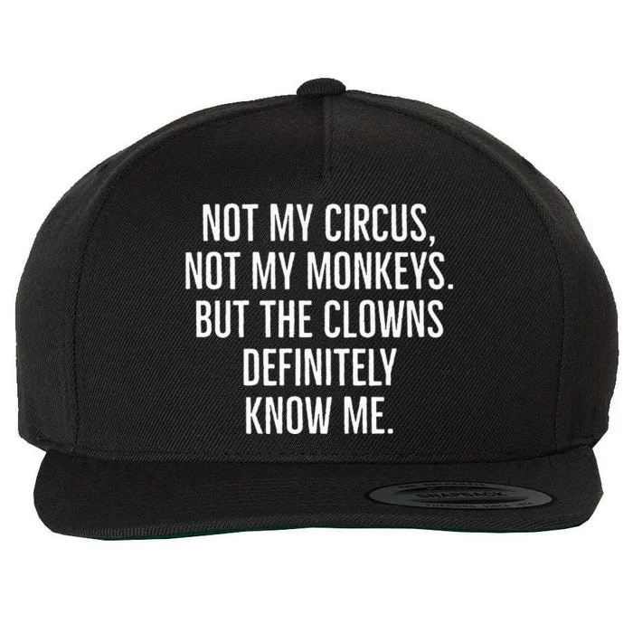 Not My Circus Not My Monkeys But The Clowns Definitely Know Wool Snapback Cap