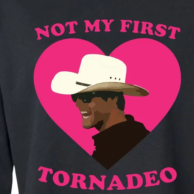 Not My First Tornadeo Not My First Tornado Cropped Pullover Crew