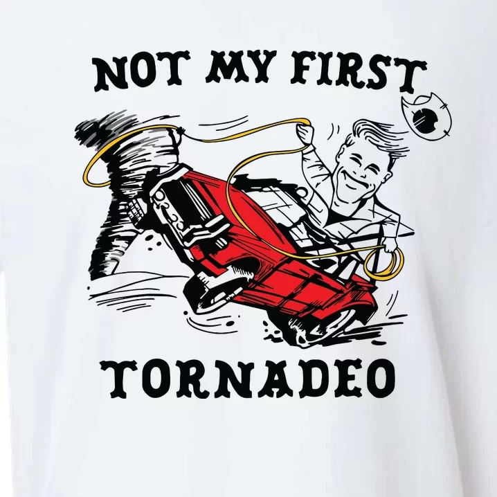 Not My First Tornadeo Not My First Tornado Sueded Cloud Jersey T-Shirt