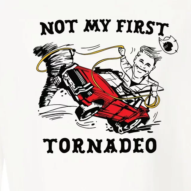 Not My First Tornadeo Not My First Tornado Cropped Pullover Crew