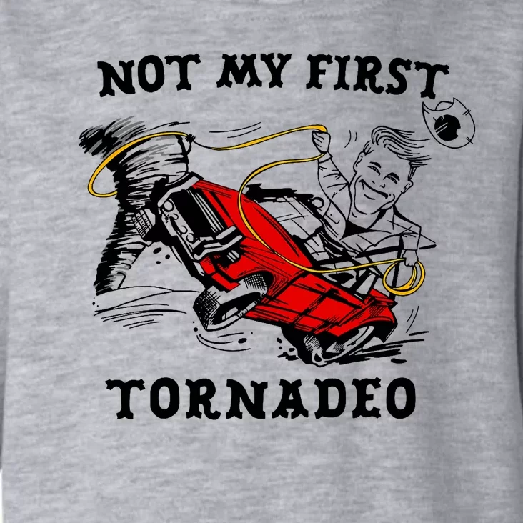 Not My First Tornadeo Not My First Tornado Toddler Hoodie