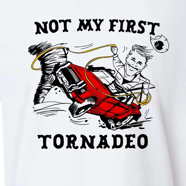 Not My First Tornadeo Not My First Tornado Sueded Cloud Jersey T-Shirt