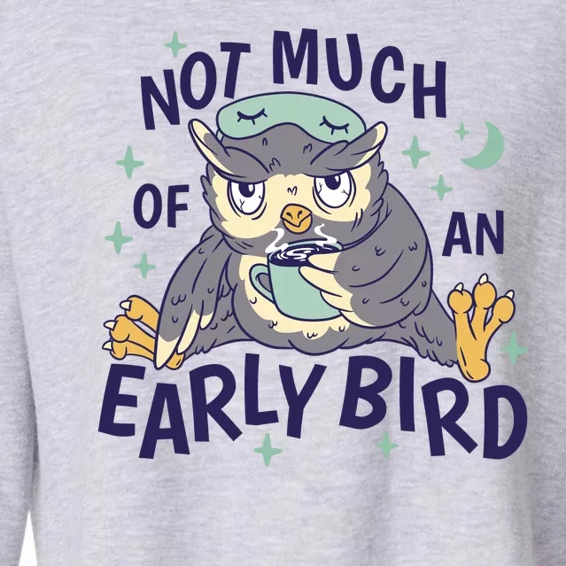 Not Much Of An Early Bird Owl Cropped Pullover Crew