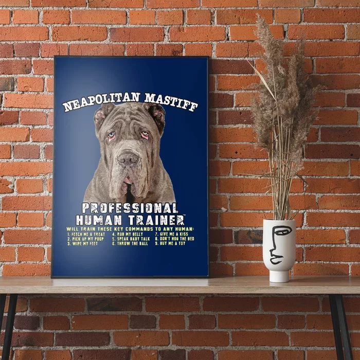 Neapolitan Mastiff Professional Human Trainer Cute Dog Poster