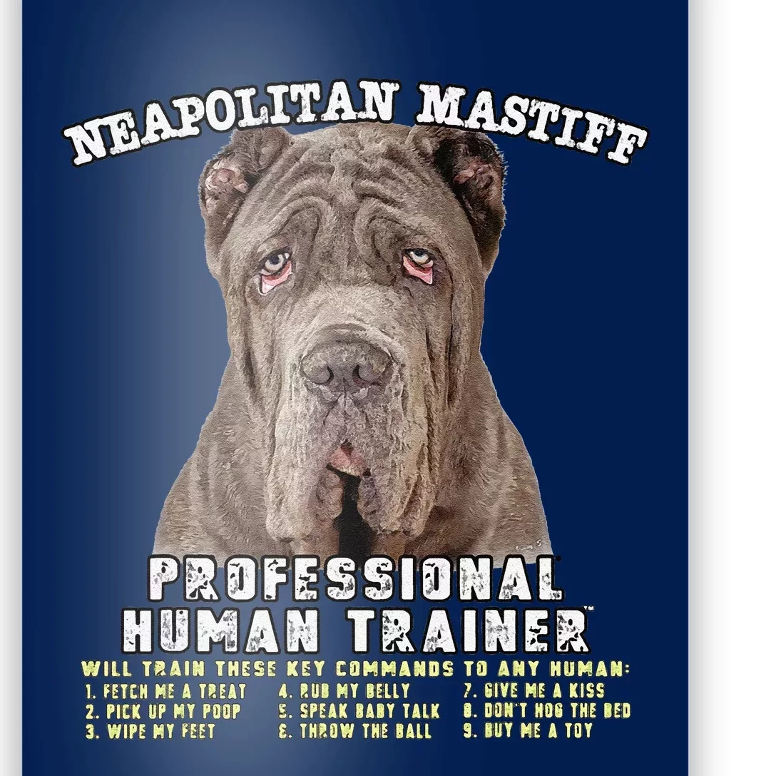 Neapolitan Mastiff Professional Human Trainer Cute Dog Poster