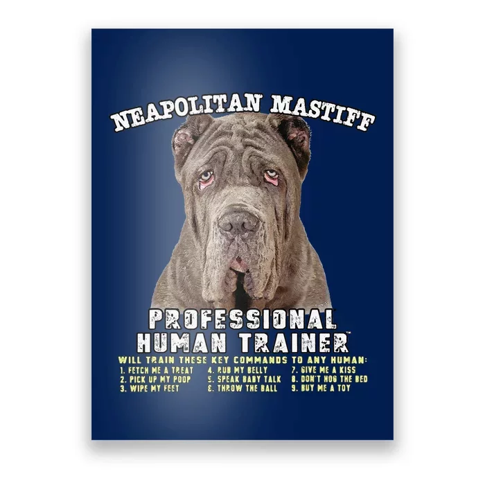 Neapolitan Mastiff Professional Human Trainer Cute Dog Poster