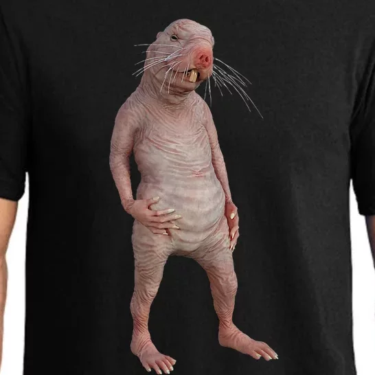 Naked Mole Rat Zookeeper Safari Animal Lover Mole Rat Pajama Set