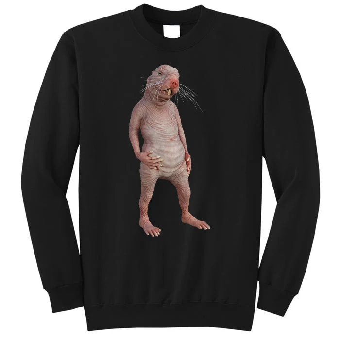 Naked Mole Rat Zookeeper Safari Animal Lover Mole Rat Tall Sweatshirt