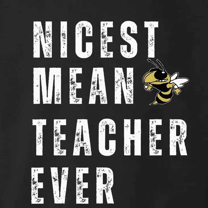 Nicest Mean Teacher Ever Funny Teacher Toddler Hoodie