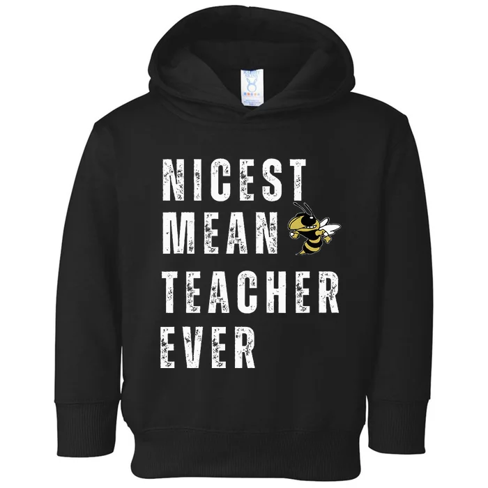 Nicest Mean Teacher Ever Funny Teacher Toddler Hoodie