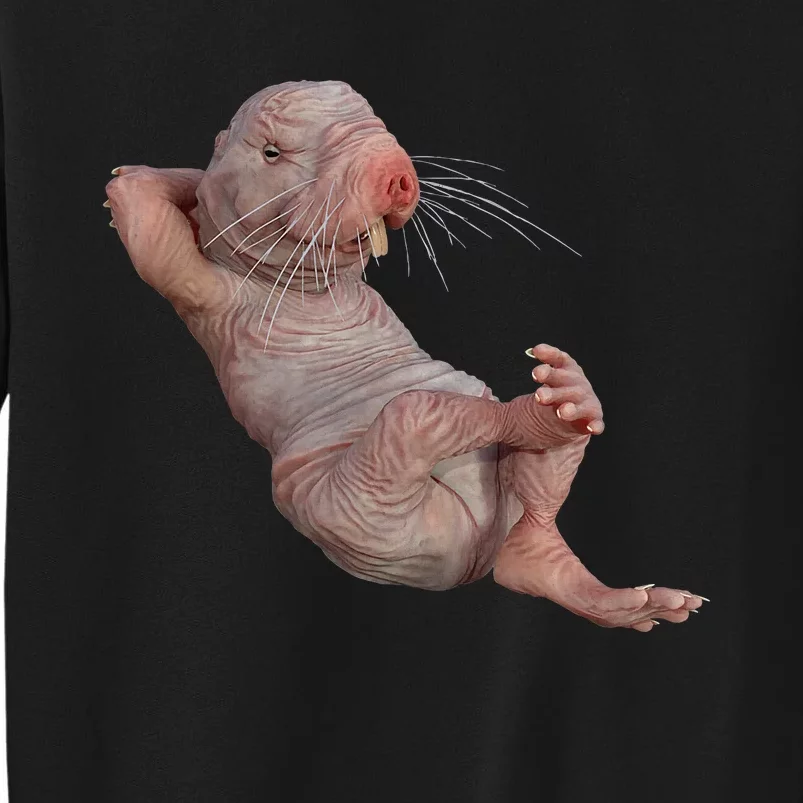 Naked Molerat Zookeeper Safari Animal Lover Mole Rat Tall Sweatshirt