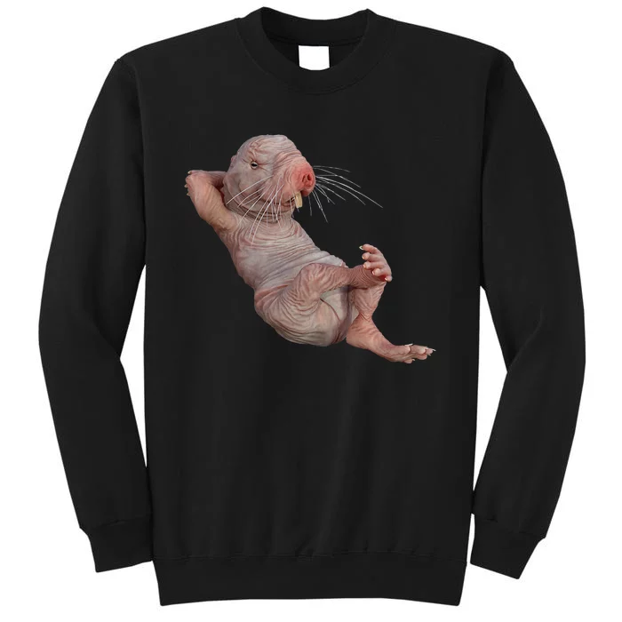 Naked Molerat Zookeeper Safari Animal Lover Mole Rat Tall Sweatshirt