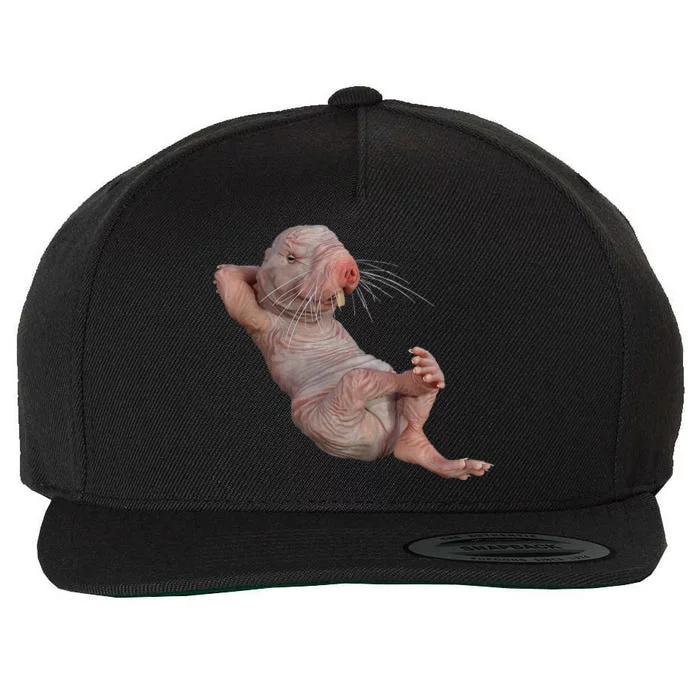 Naked Molerat Zookeeper Safari Animal Lover Mole Rat Wool Snapback Cap