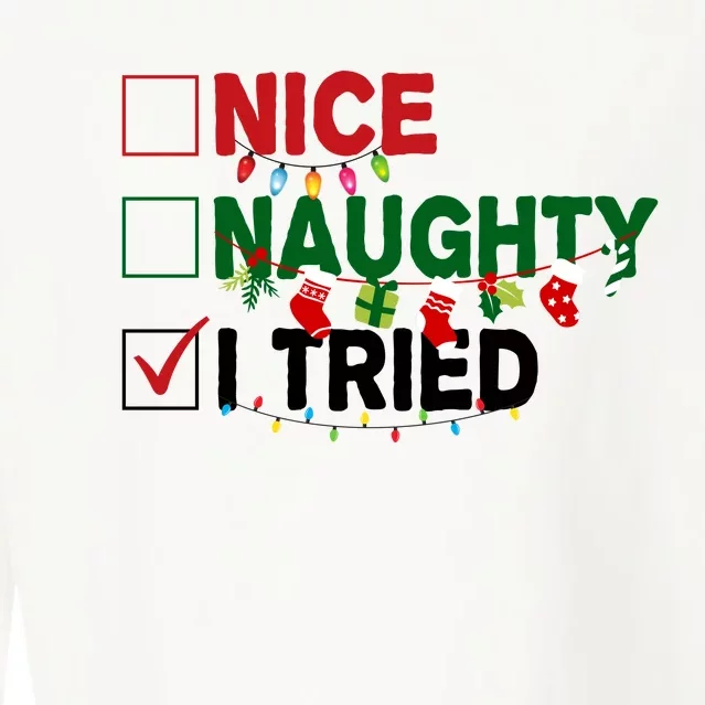 Nice Naughty I Tried Funny Christmas Checklist Cropped Pullover Crew