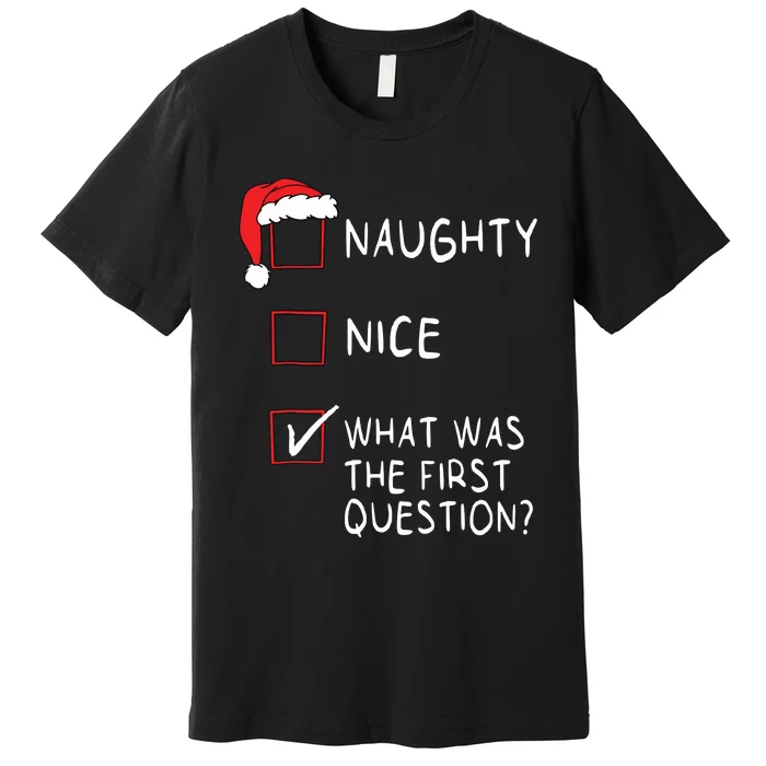 Naughty Nice List What Was The Question Women Christmas Premium T-Shirt