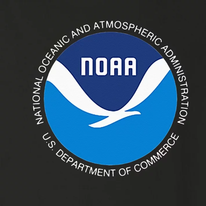 NOAA National Oceanic And Atmospheric Administration Toddler Long Sleeve Shirt