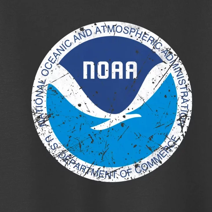 Noaa National Oceanic And Atmospheric Administration Toddler T-Shirt