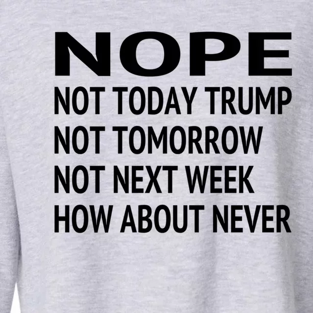 Nope Not Today Trump Lost Funny Biden Presidential Election Great Gift Cropped Pullover Crew