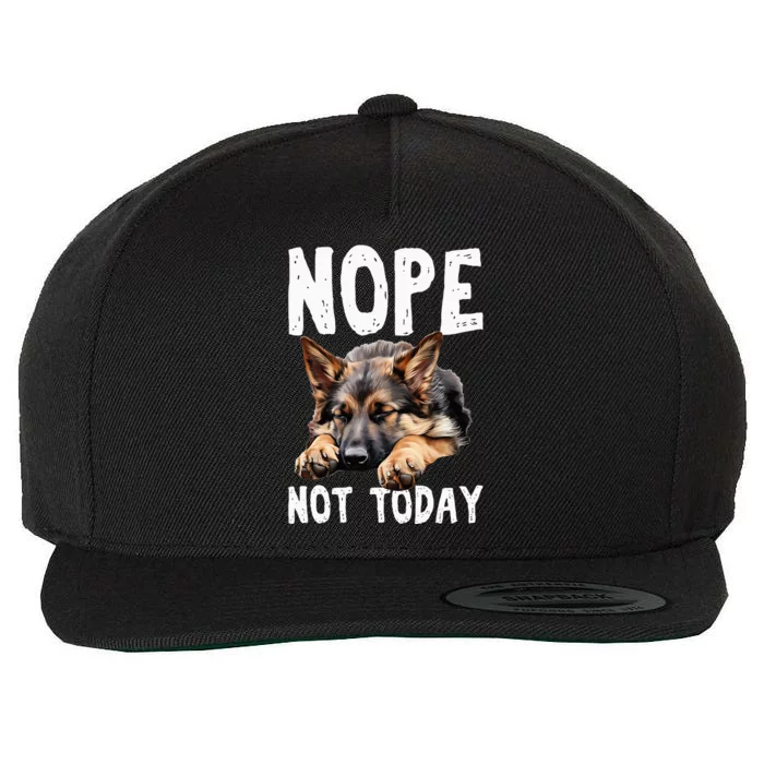 Nope Not Today Lazy Dog Wool Snapback Cap