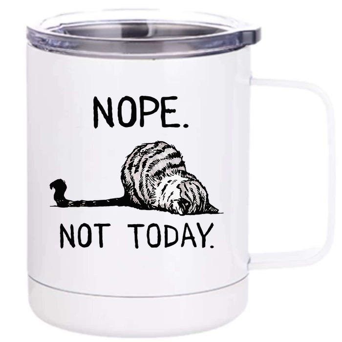 Nope Not Today Tabby Cat Front & Back 12oz Stainless Steel Tumbler Cup