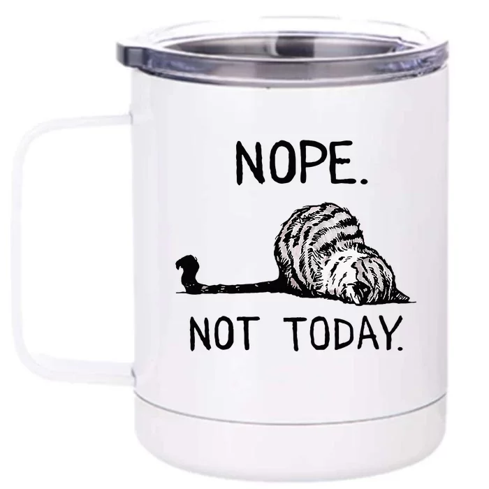 Nope Not Today Tabby Cat Front & Back 12oz Stainless Steel Tumbler Cup