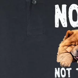 Nope Not Today Lazy Dog Funny Chow Chow Softstyle Adult Sport Polo