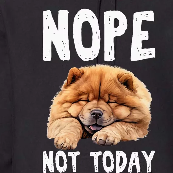 Nope Not Today Lazy Dog Funny Chow Chow Premium Hoodie